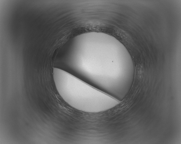 X0000072541060200607141030