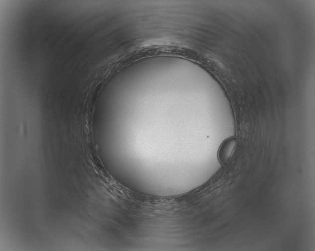X0000072541062200607141030
