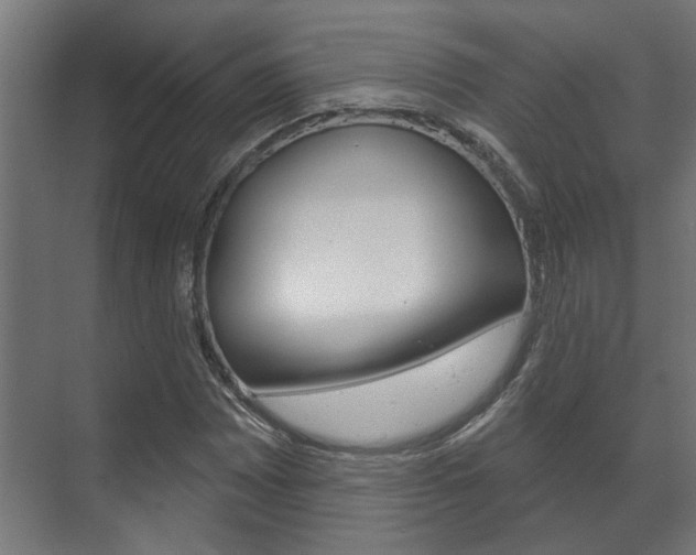 X0000072541065200607141030
