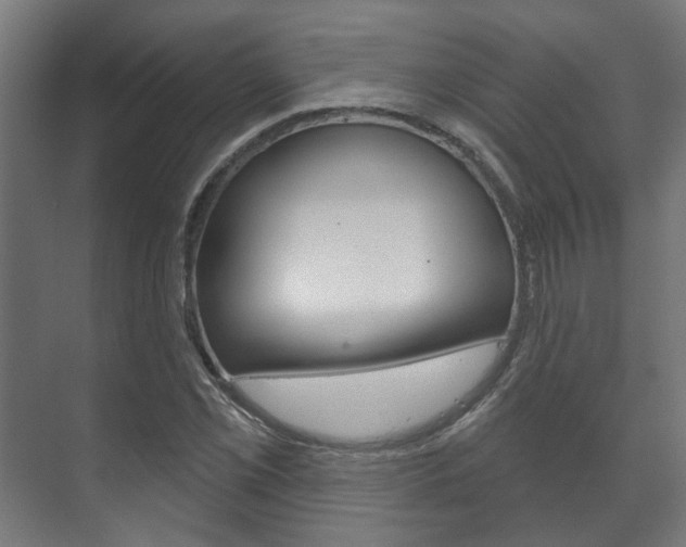 X0000072541069200607141030