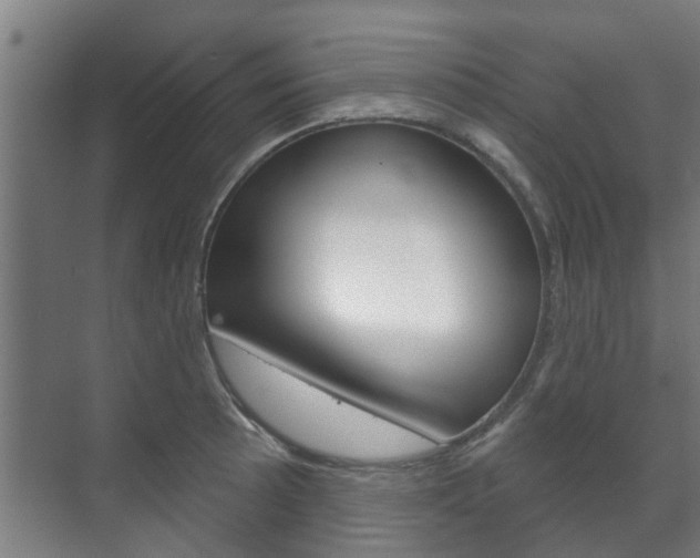 X0000072541089200607141030