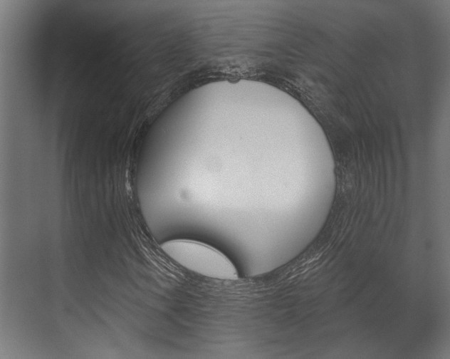 X0000072541106200607141029