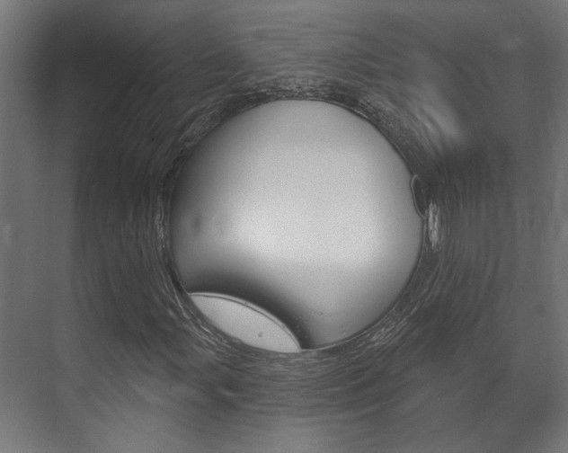 X0000072541107200607141029