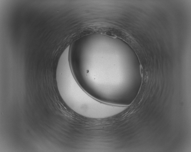 X0000072541108200607141029