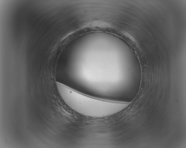 X0000072541112200607141029