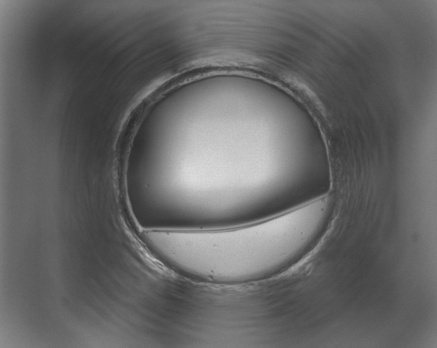 X0000072541114200607141029