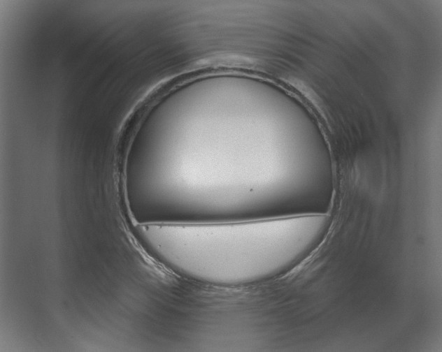 X0000072541115200607141029