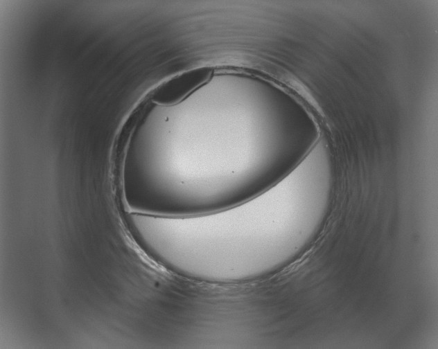 X0000072541116200607141029