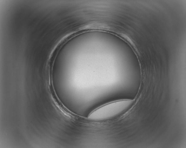 X0000072541123200607141029