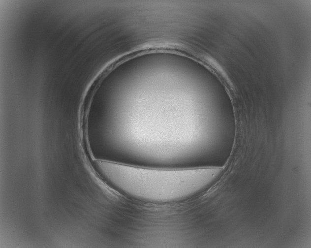 X0000072541124200607141029