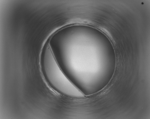 X0000072541128200607141029