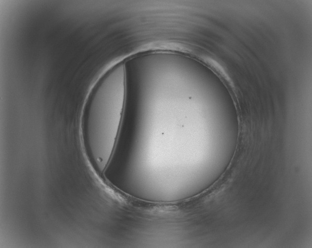 X0000072541133200607141029