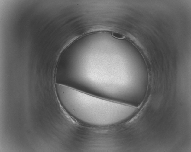 X0000072541137200607141029