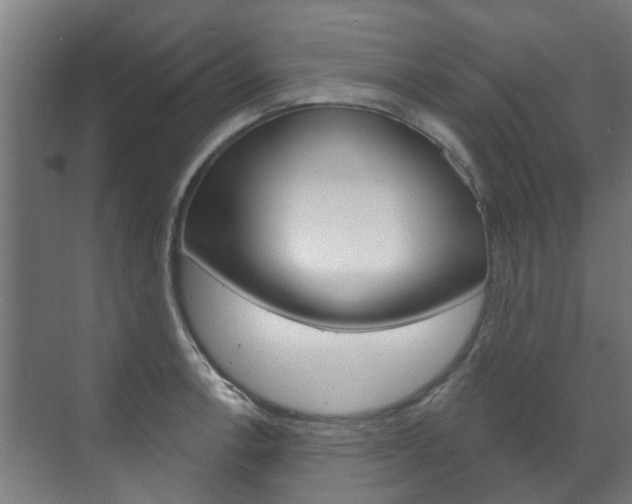 X0000072541138200607141029