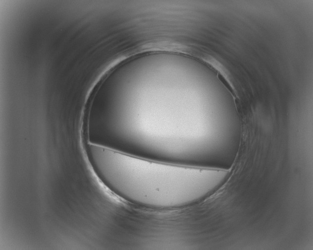 X0000072541139200607141029