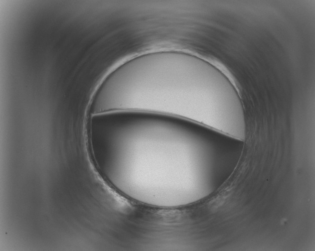 X0000072541142200607141029
