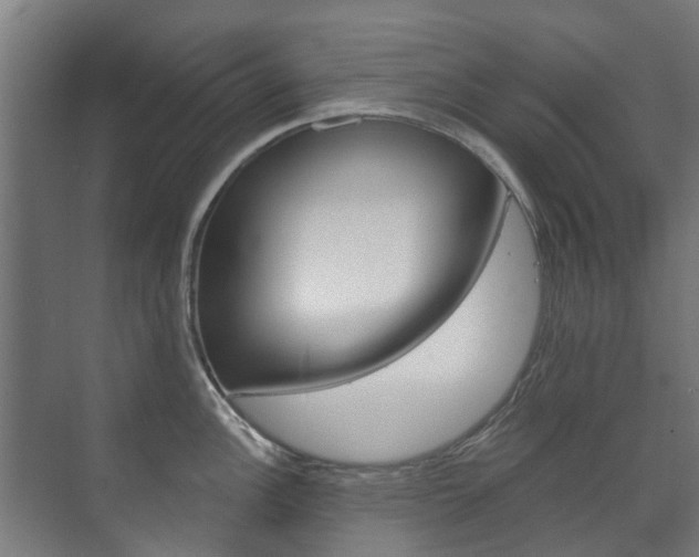 X0000072541148200607141029