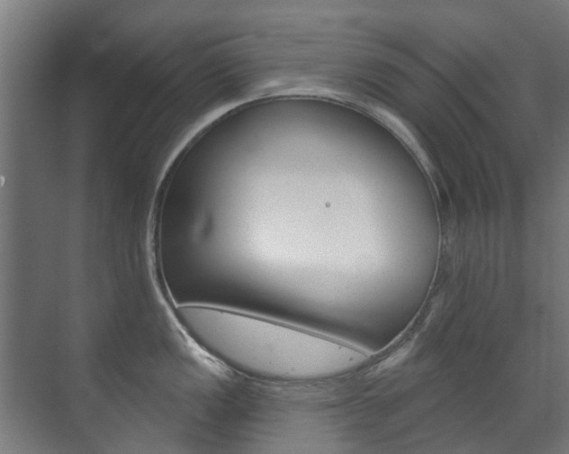 X0000072541149200607141029