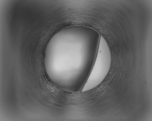X0000072541153200607141029