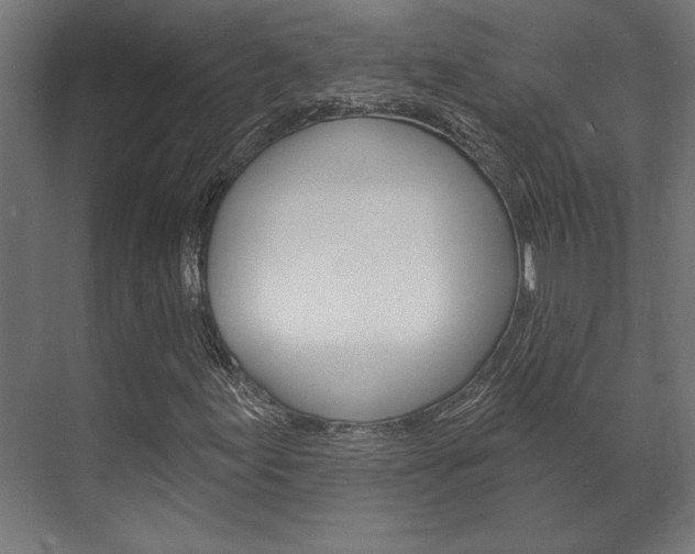 X0000072541155200607141029