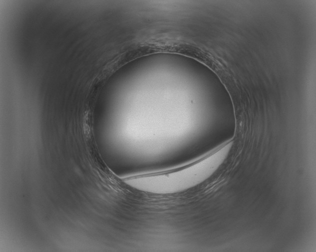 X0000072541156200607141029