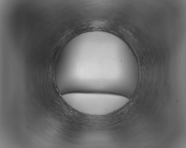 X0000072541158200607141029