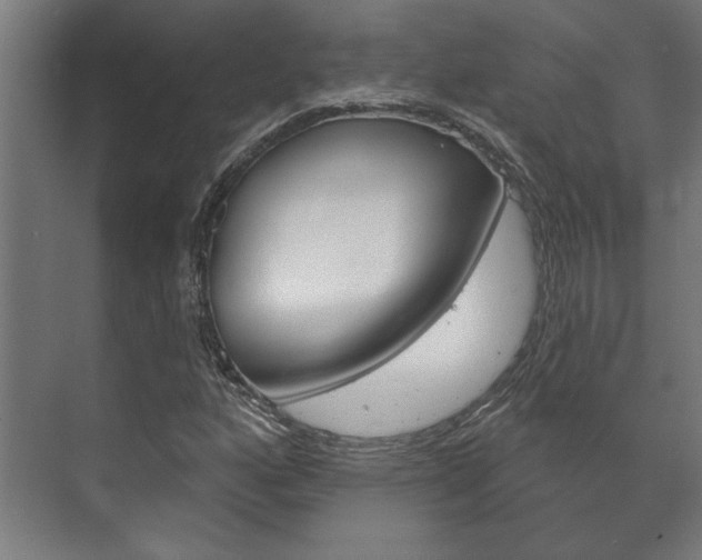 X0000072541160200607141029