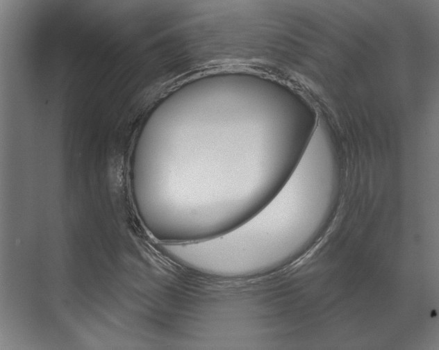 X0000072541161200607141029