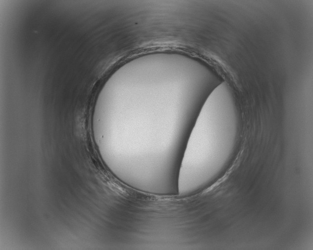 X0000072541162200607141029