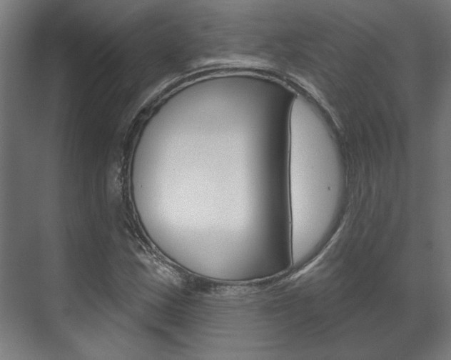 X0000072541163200607141029