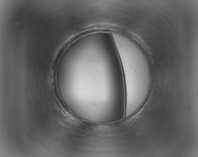 X0000072541164200607141028