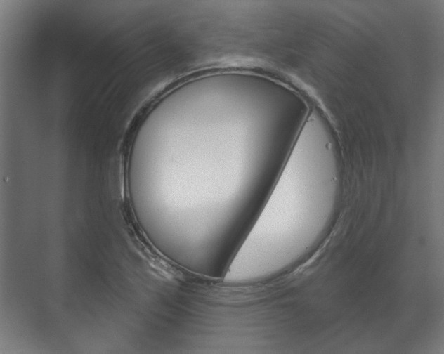 X0000072541171200607141028