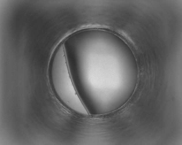 X0000072541173200607141028