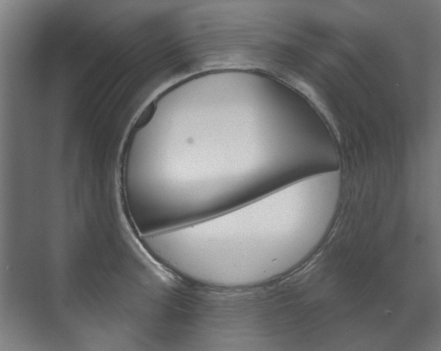 X0000072541187200607141028
