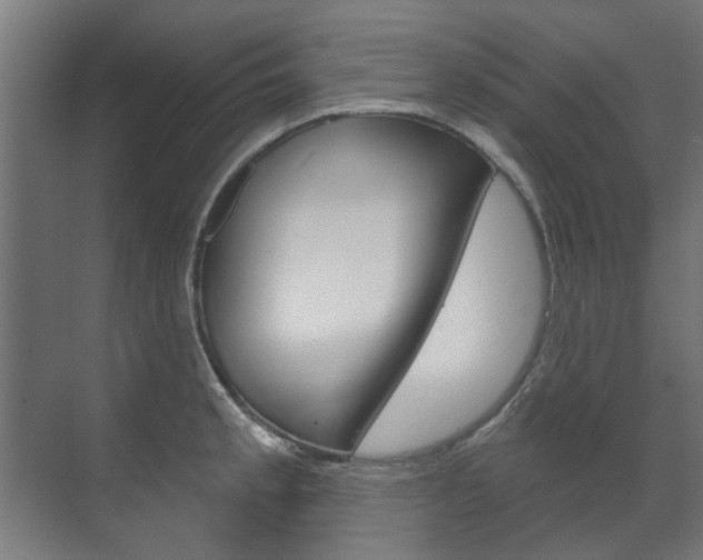 X0000072541189200607141028