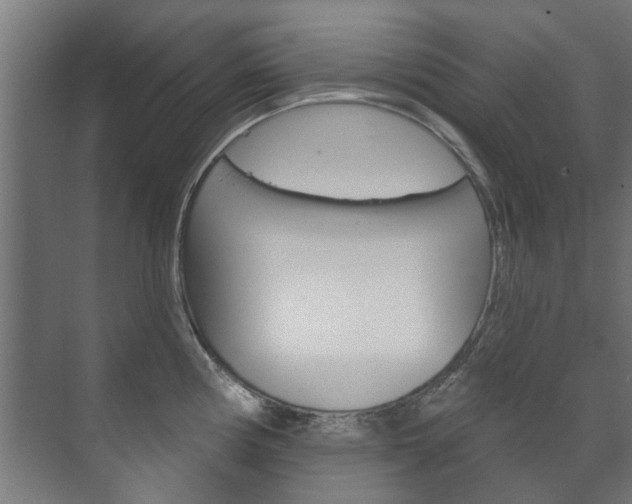 X0000072541194200607141028