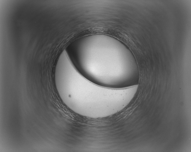 X0000072541201200607141027