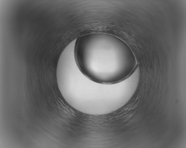 X0000072541202200607141027