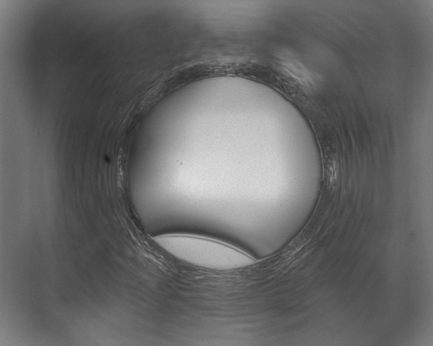 X0000072541204200607141027