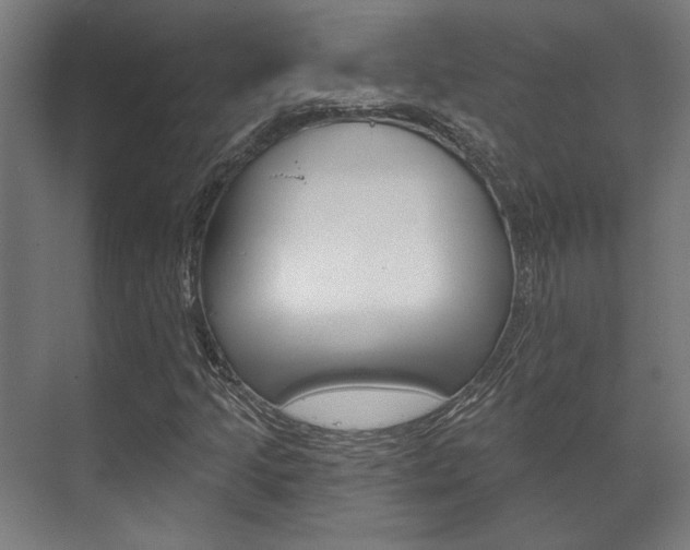X0000072541205200607141027