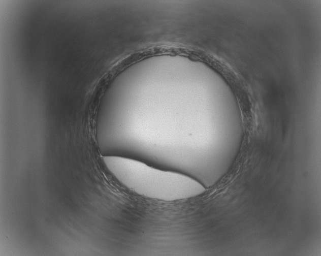 X0000072541207200607141027