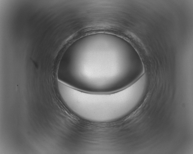 X0000072541210200607141027