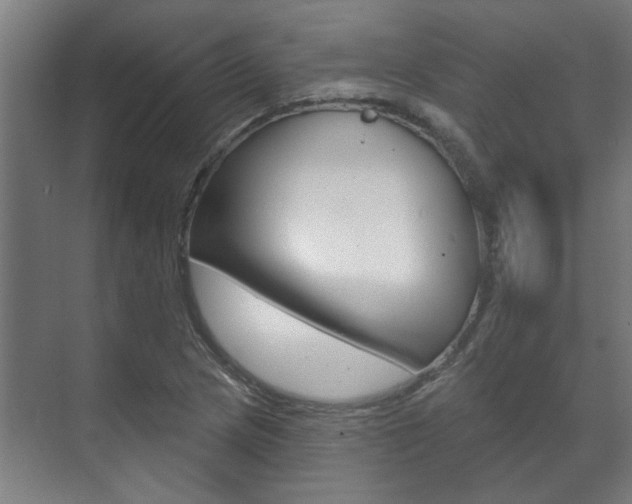 X0000072541217200607141027
