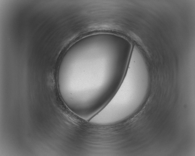 X0000072541218200607141027