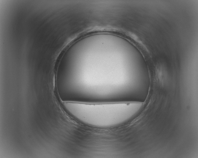 X0000072541221200607141027