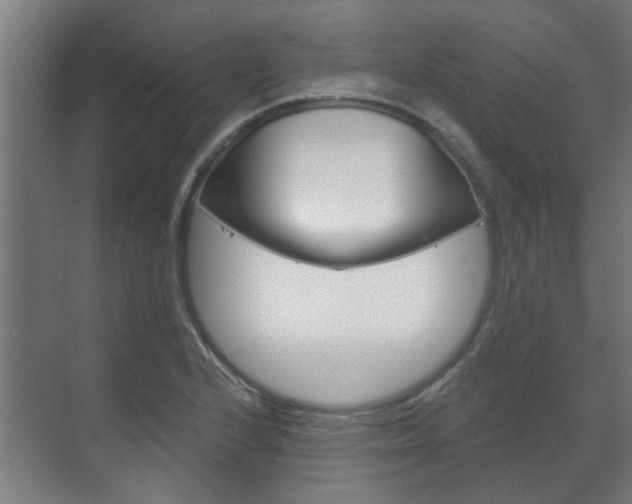 X0000072541224200607141027