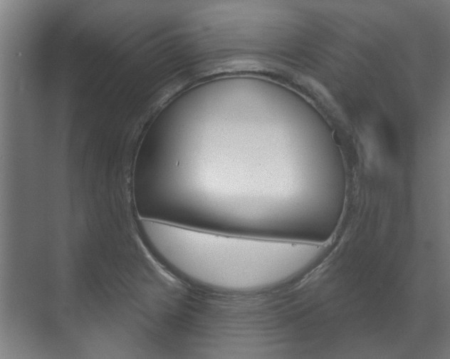 X0000072541225200607141027