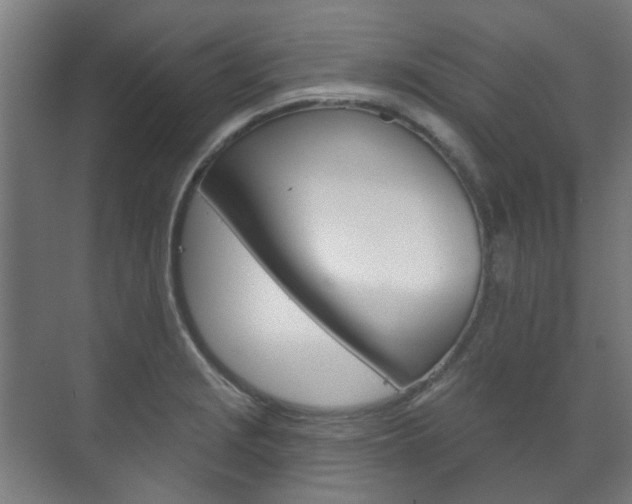 X0000072541229200607141028