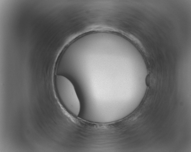 X0000072541231200607141028