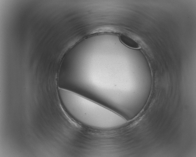 X0000072541233200607141028